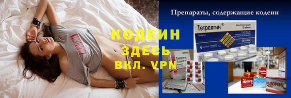 индика Покачи