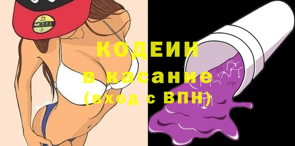 индика Покачи