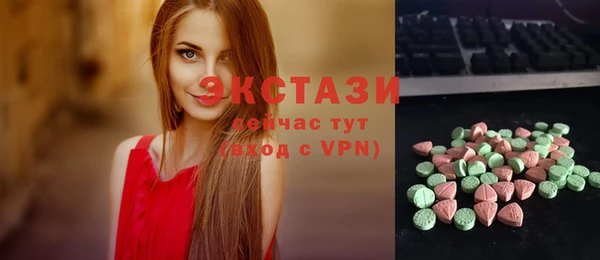 индика Покачи