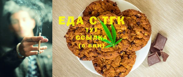индика Покачи