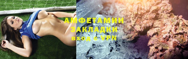 индика Покачи