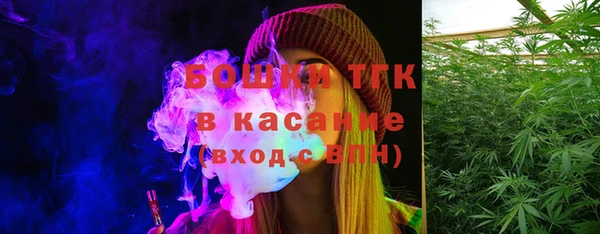 индика Покачи