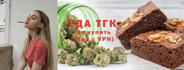 индика Покачи