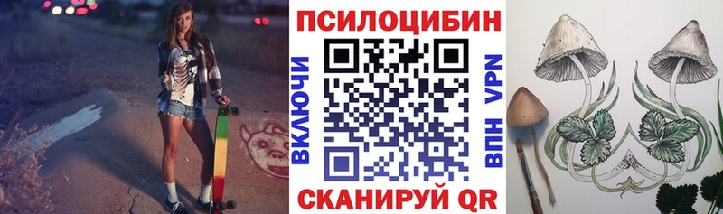 Псилоцибиновые грибы прущие грибы  Купить где  Петушки 